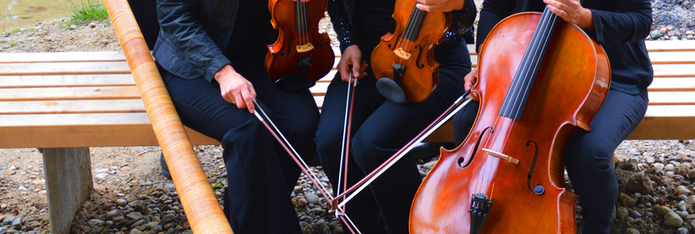 StreichquartettundAlphorn