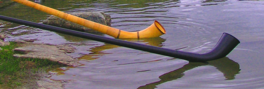 Fuorcla Surlej Seelein